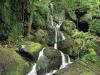 Roaring Fork, Smoky Mountains, Tennessee - 1600x